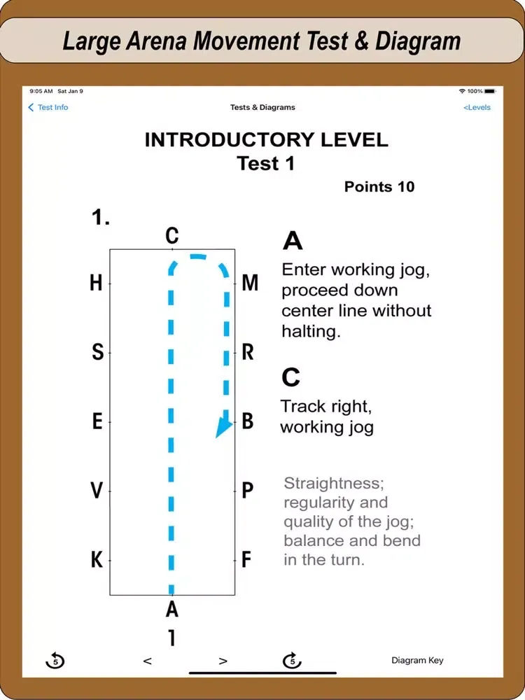 2017 WDAA Dressage Tests iPad  スクリーンショット